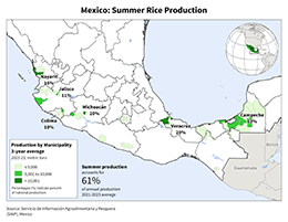 images\MX\seasonalmap\Mexico_Summer_Rice_preview.png
